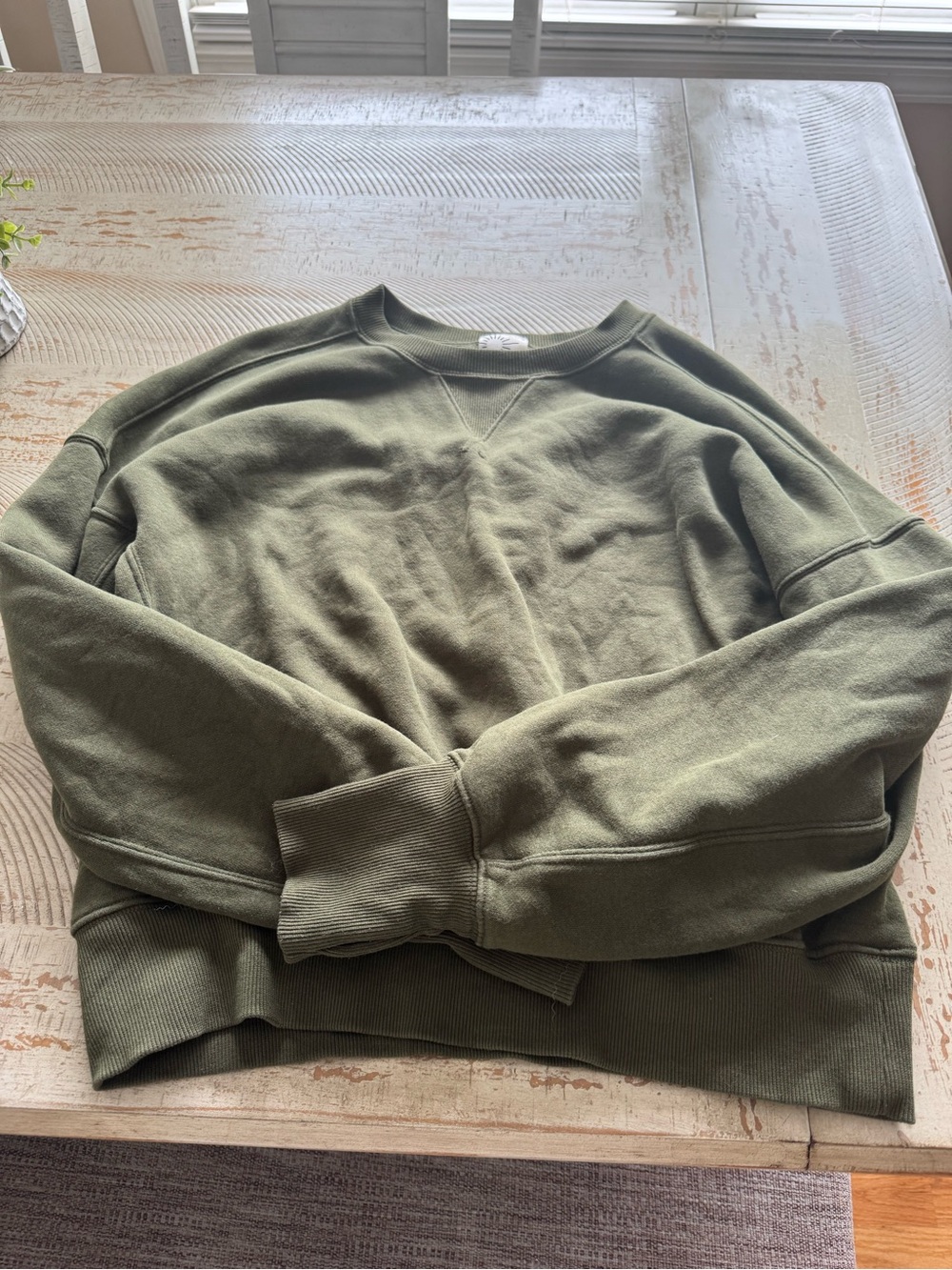 aerie Olive Crewneck Sweatshirt